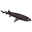 catshark_raw