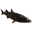 mullet_raw