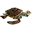 turtle_raw
